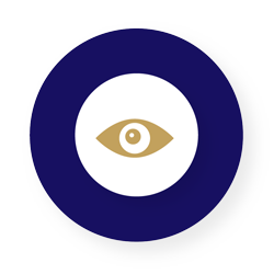 vision-ps